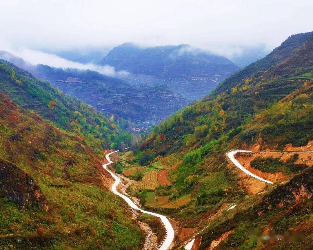 礼县白关镇秋日景色层林尽染五彩斑斓