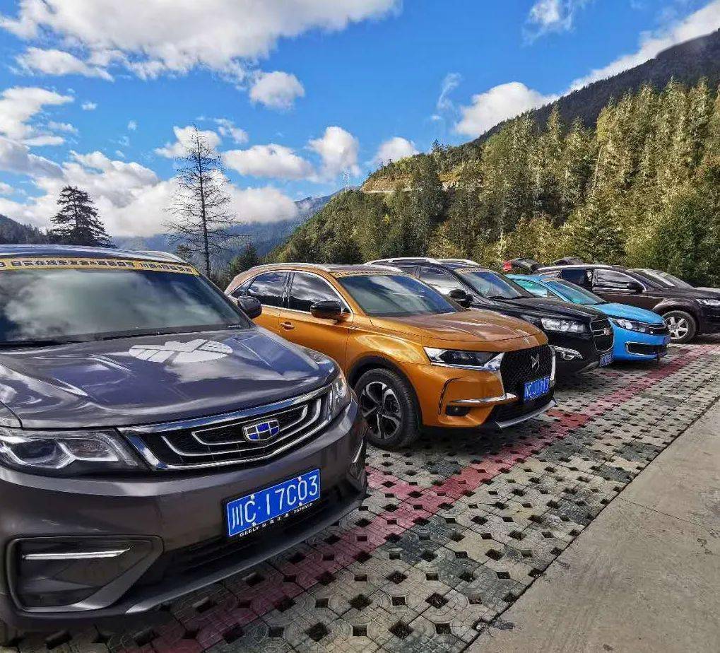 全是川c自贡这个神秘组织又搞事情只为