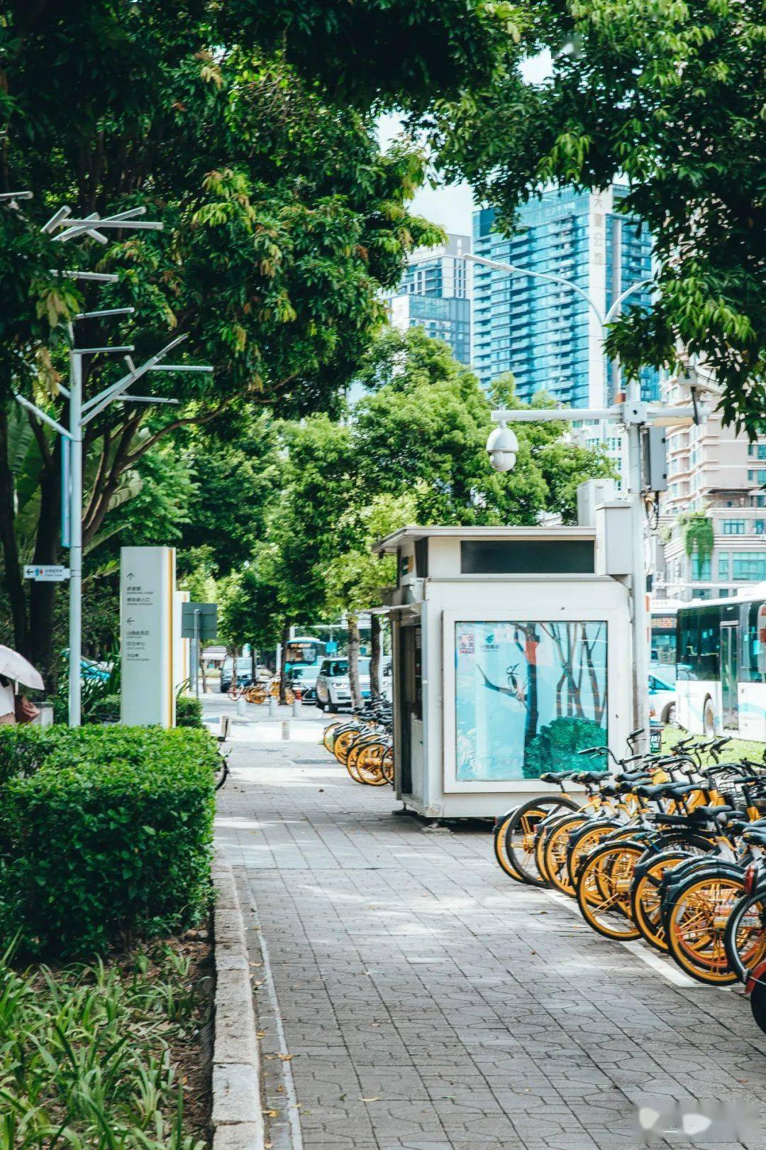 消失的报刊亭深圳人回不去的童年和青春