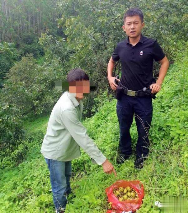 云县公安局茂兰派出所接到报警电话后,立即出警赶到现场,将杨某现场