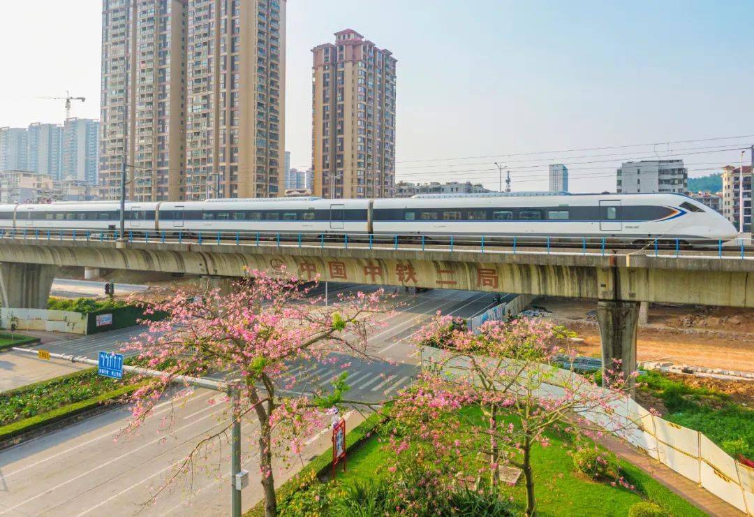 重要通知江门东站新会站列车班次有大变化还有一个消息