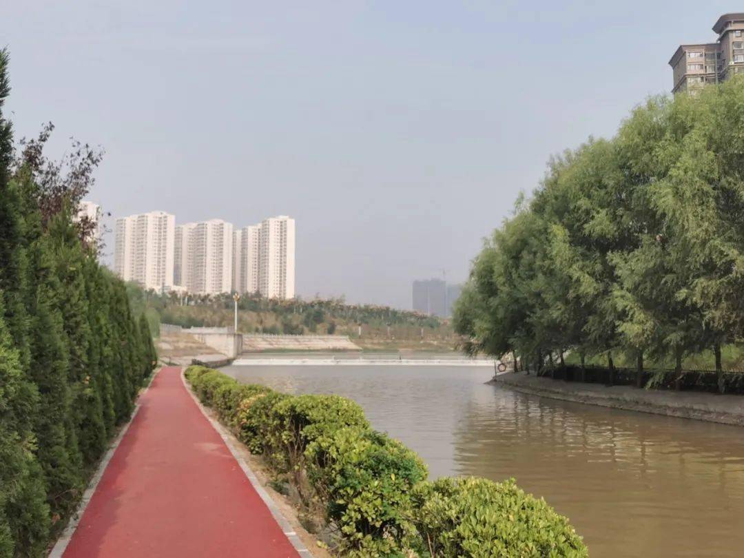 太美了!洛阳新增一处滨河公园,看看在不在您家门口