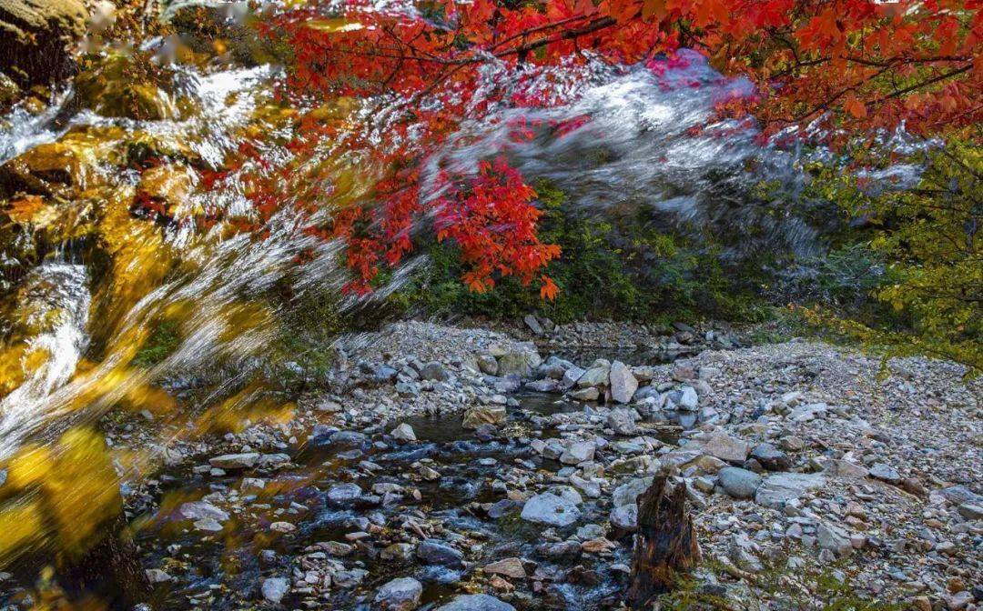 丰满区旺起镇石匣沟红叶美如画