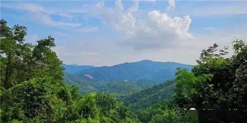 1778登山节10月18日周日登中山第一峰五桂山