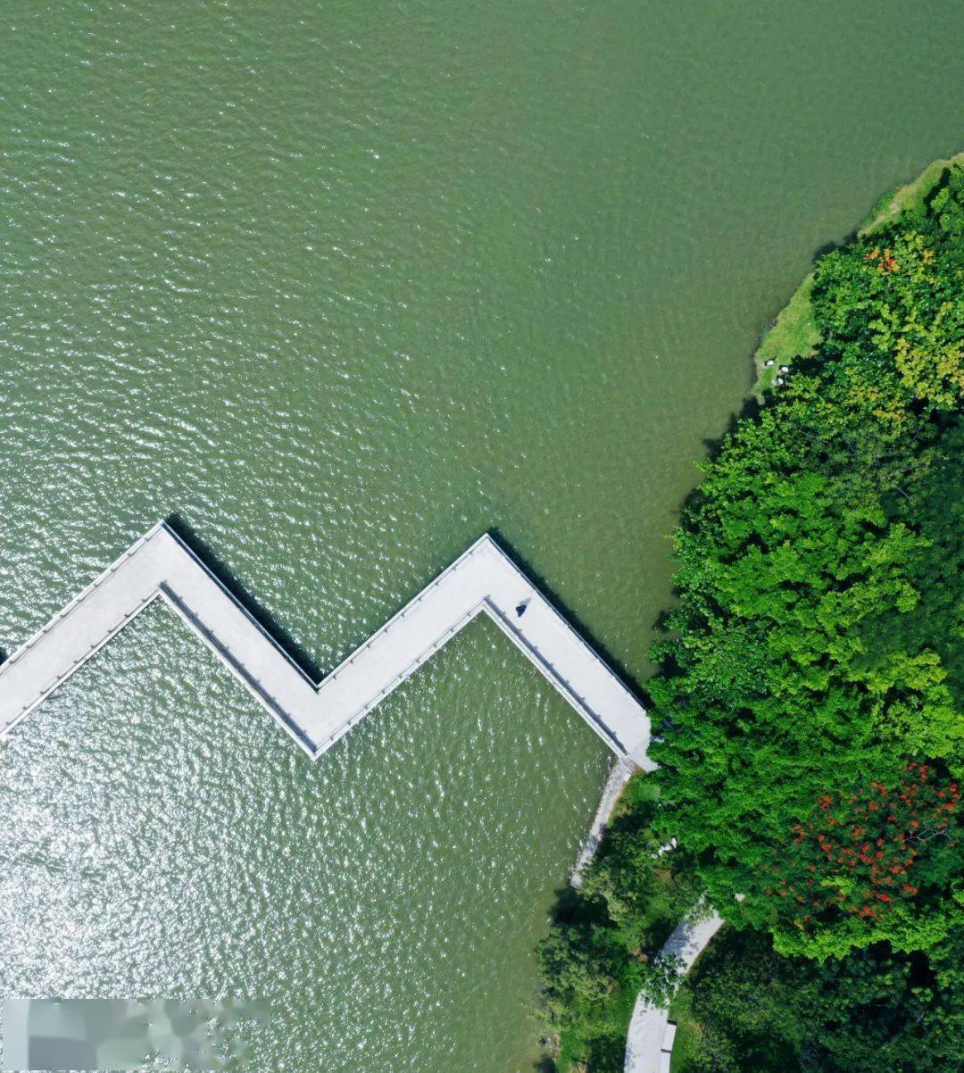 图说顺德丨航拍顺峰山公园