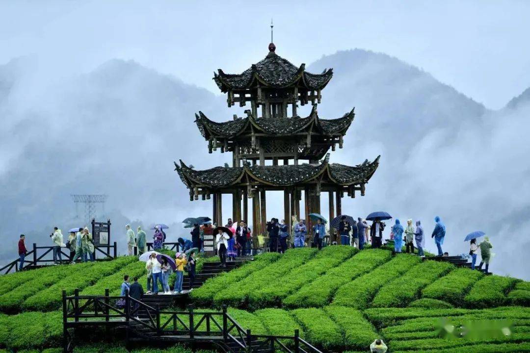 秋游宣恩山霭苍苍望转迷烟雨青黛醉游人