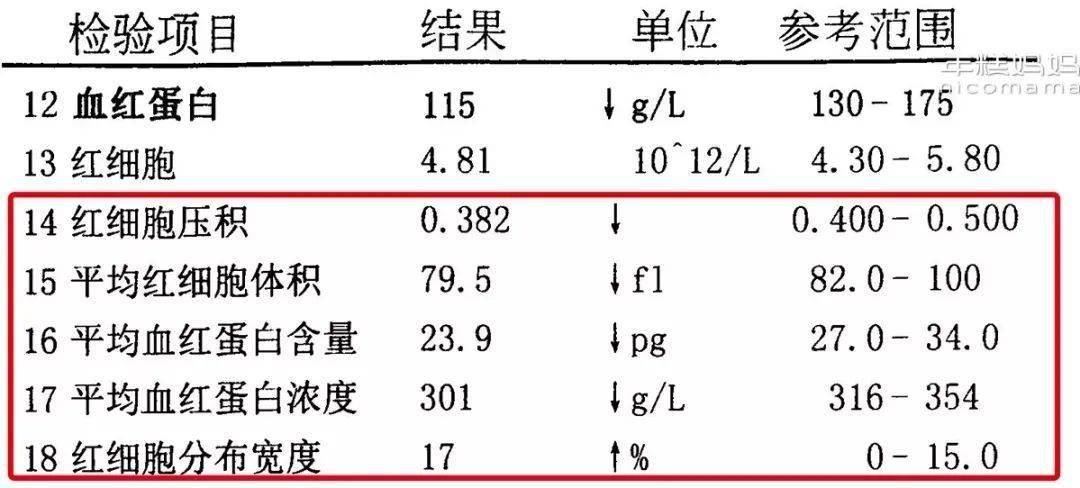 血常規大致分為貧血指標感染指標凝血指標,血常規可分為三個大方面第