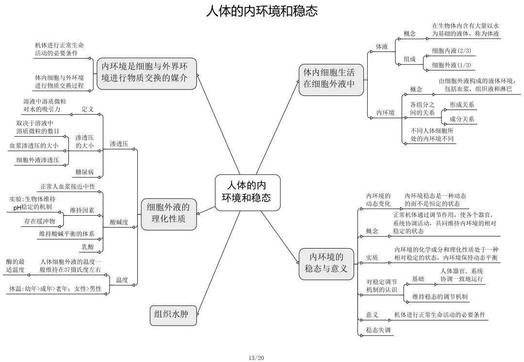 高中生物必修 選修思維導圖最全歸納