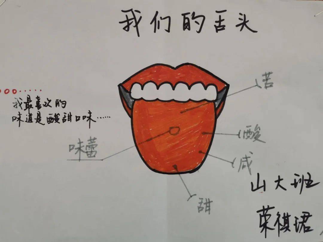 生活与课程探秘嘴巴