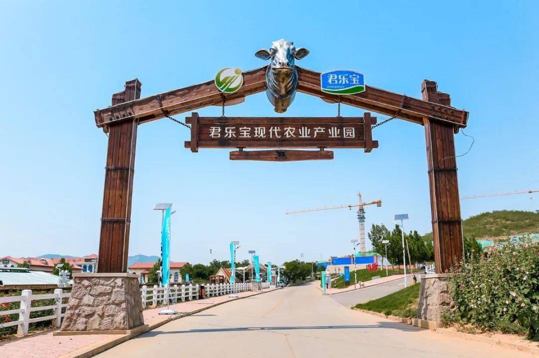 风和日丽气温适宜相约牧场和奶牛聊个天儿