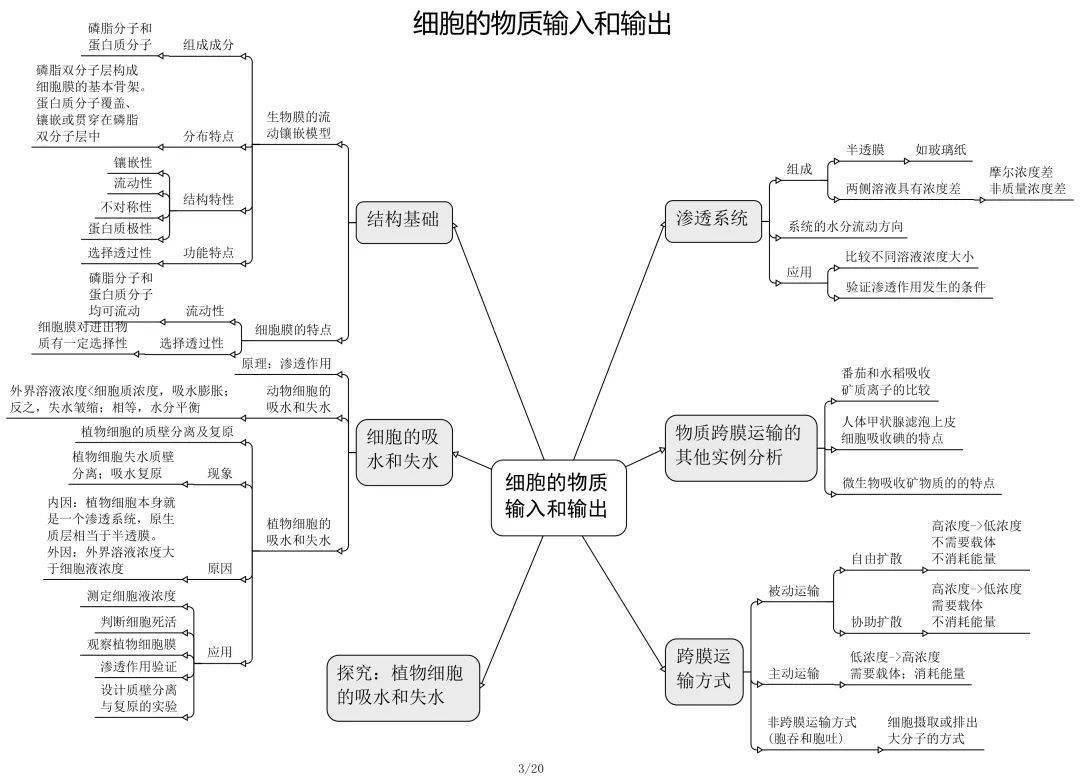 高中生物必修 選修思維導圖最全歸納