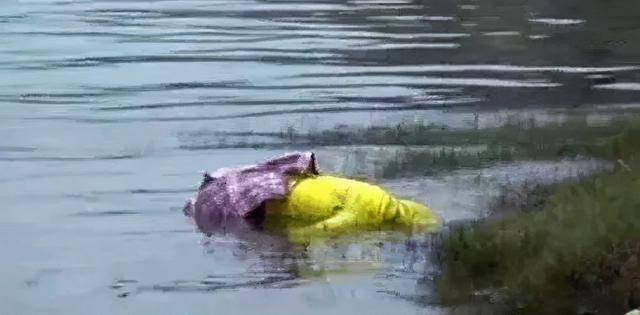 近代大案纪实身纹玫瑰的失足女遭抛尸长江