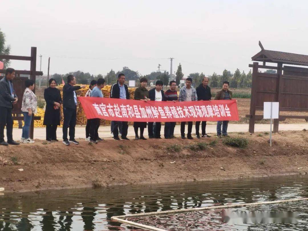 南和哪里有网站建设 来自搜狐网