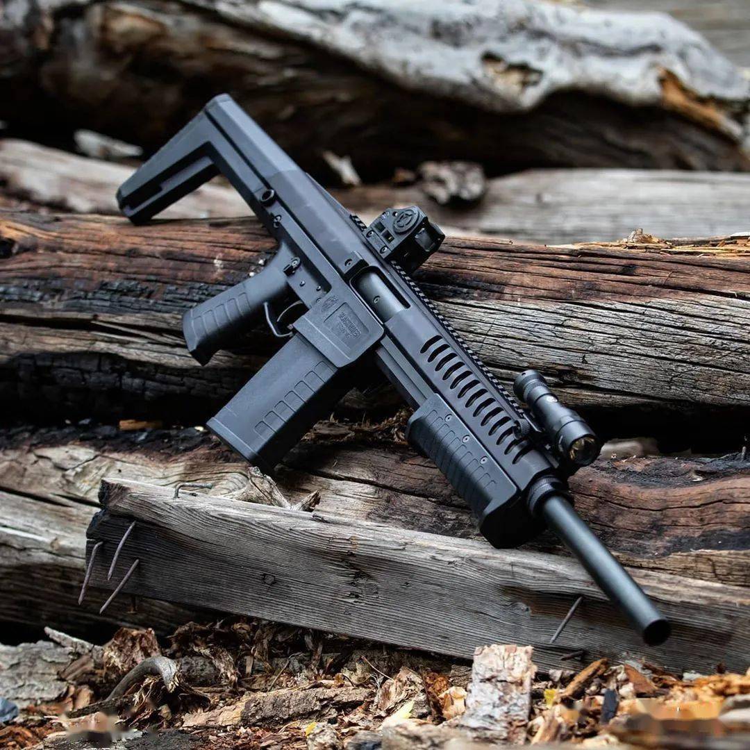 【又见黑水】sentry 12霰弹枪图集