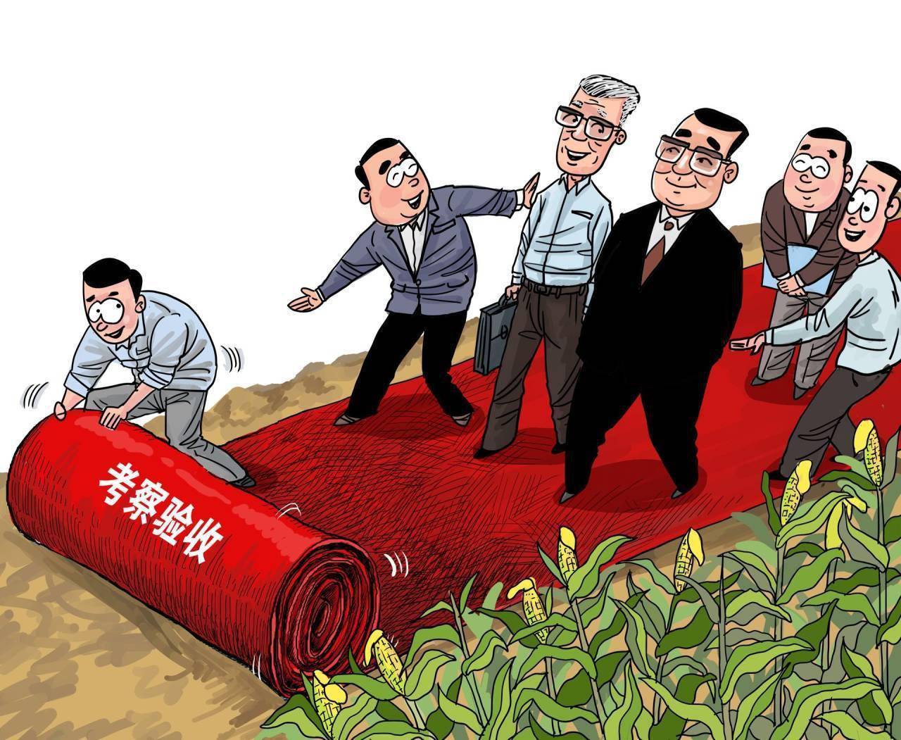 漫·议|玉米地里铺红地毯,咋想得出来