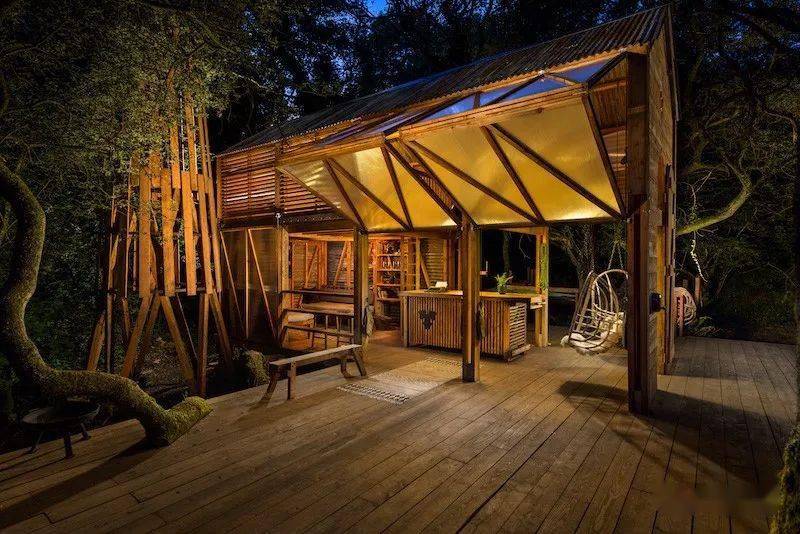 一杯敬自由一杯敬远方丛林中的酒吧木屋