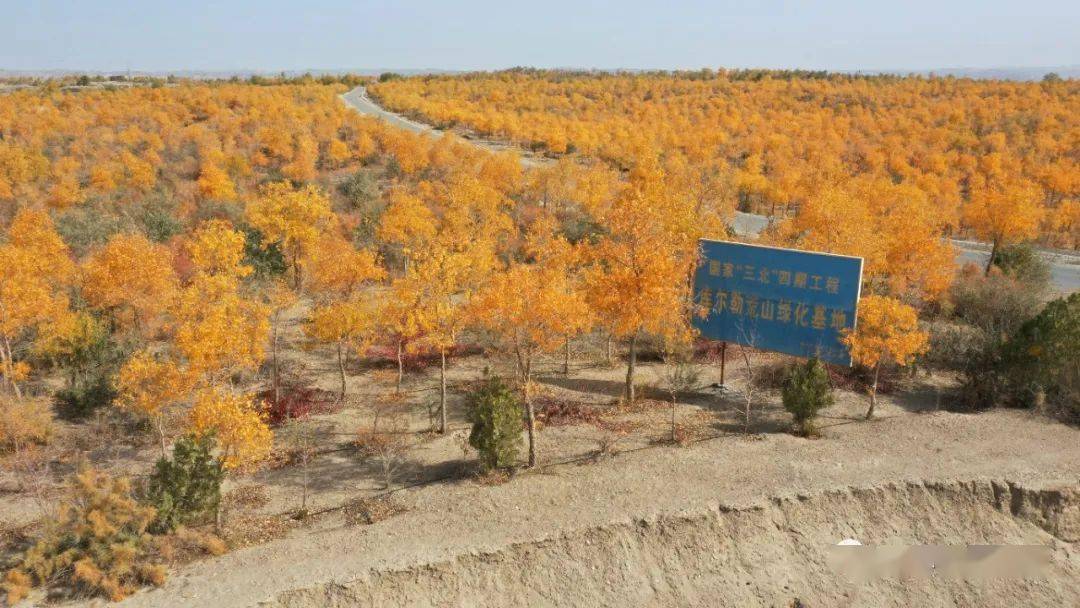 【数说梨城"十三五"】绿化荒山 美化人居_防护林