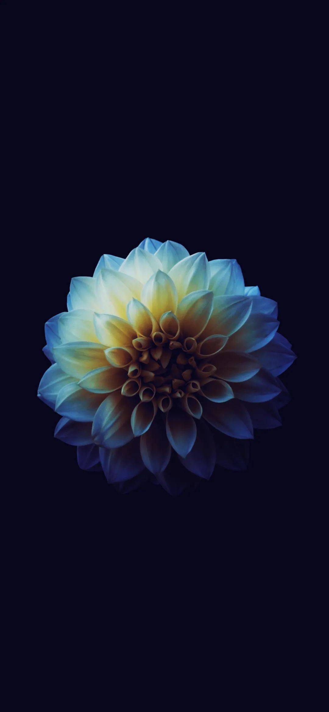 iphone壁纸全屏壁纸美图精选