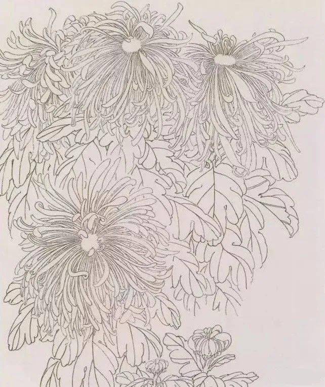 第一步:勾线.花头,花瓣一定要用重墨,否则染色时会把结构染乱.