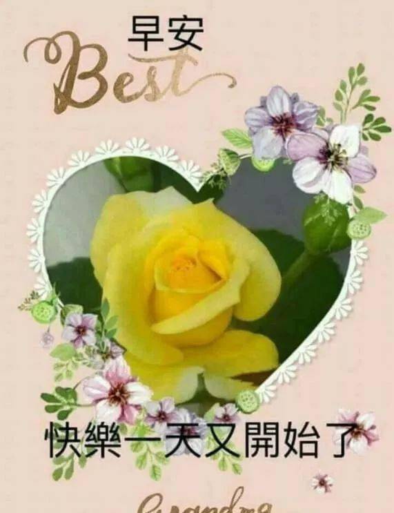 微信新版清晨问候大家早上好暖心语录阳光暖心早上好问候语录