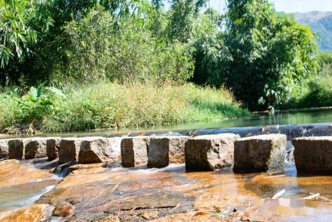 乡村风情景致如画凤新庵下