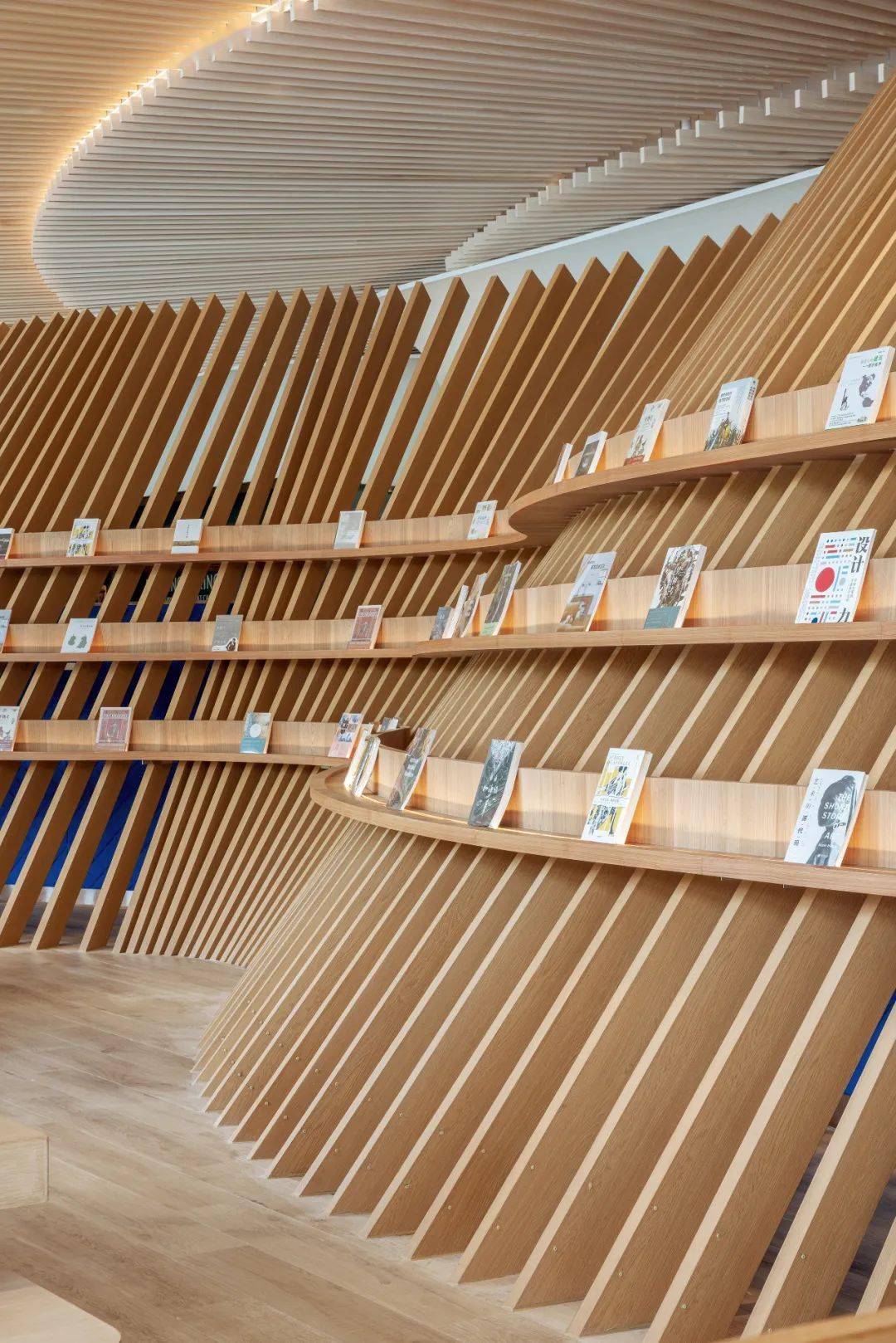 更新城市记忆,30000片花瓣开启未来想象 | 峻佳设计