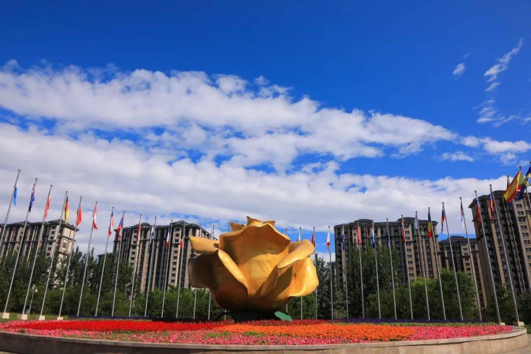 博士后创业小镇落户大兴魏善庄!_魏善庄镇