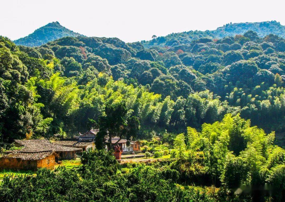 永春天马山看云海观日出