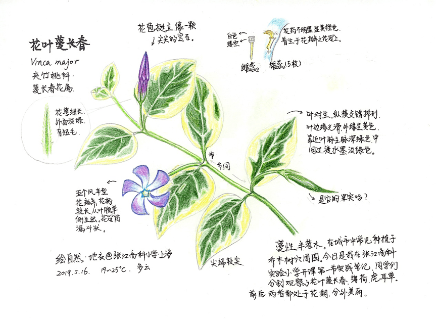 活動招募筆記精靈系列之秋色自然筆記體驗活動