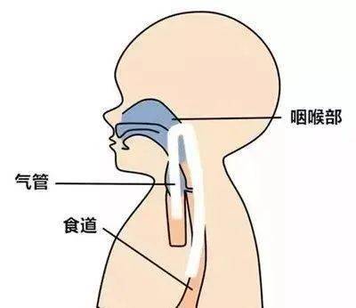 寶寶嗆奶窒息險些喪命,一招救回寶寶!_手機搜狐網