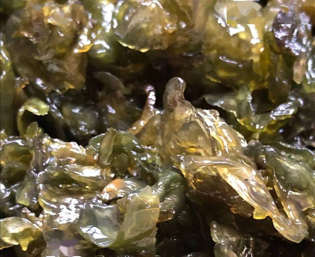 建南有一种野菜叫地木耳下雨天后才有你吃过没