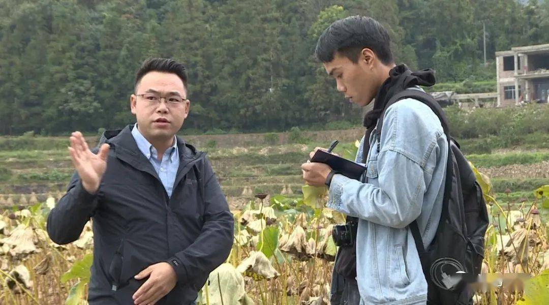 王泽勇:第一书记来 水井莲花开