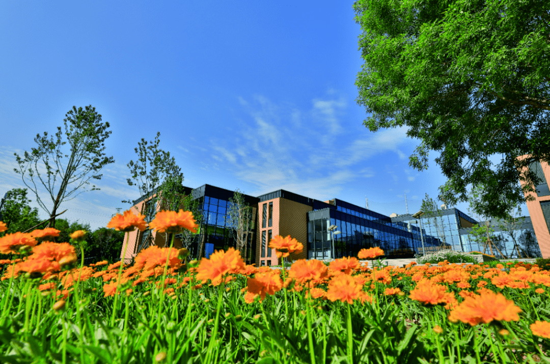 择校直通车邂逅北京海淀凯文学校遇见一所花园式校园