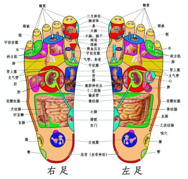 一病一绝招