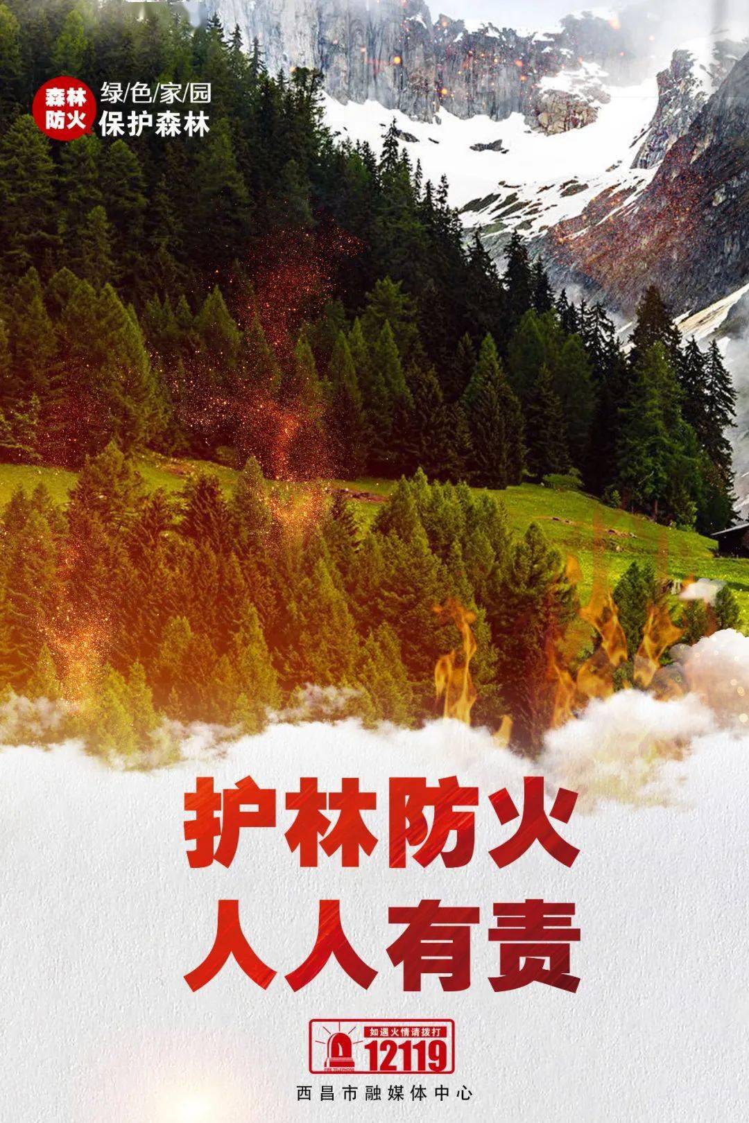 森林防火护林防火人人有责