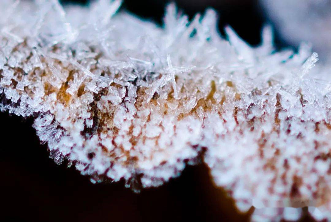 星宇星辰作品霜花二