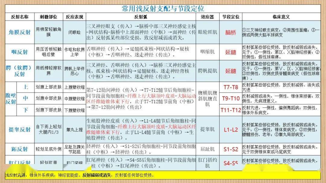 神经系统查体简要思路