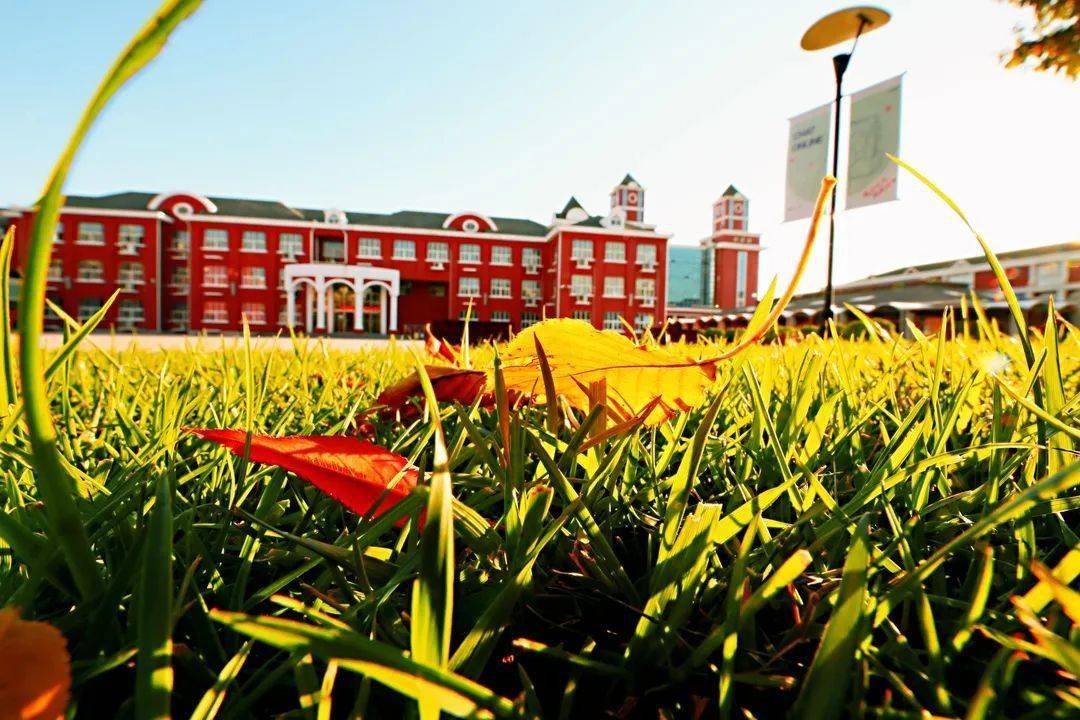 摄影展招募留下你在这个秋的深情一瞥