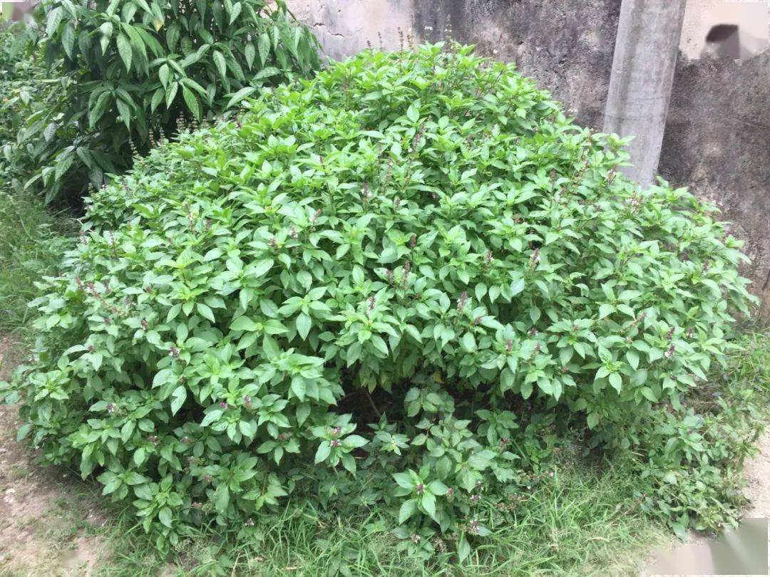 67金不换也有春天