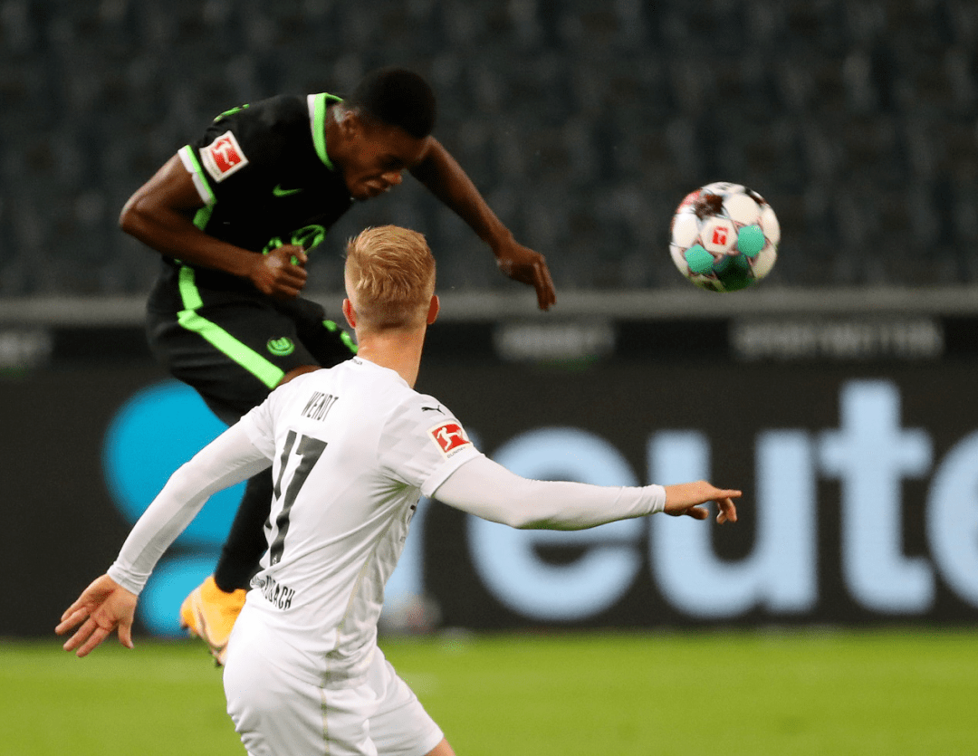 舍主管看了都说棒:这次也淘到宝了!_舍费尔