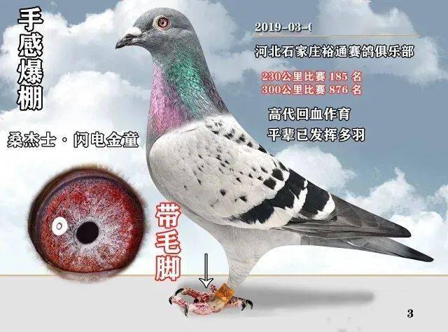 胡维奇因病去世看看他一手缔造的苍白传奇