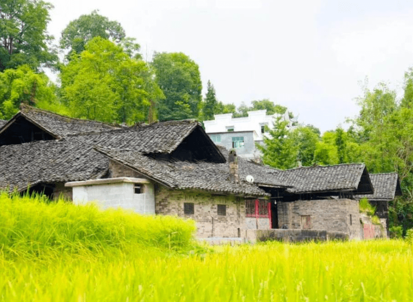 沿河官舟镇百业兴乡村美群众乐