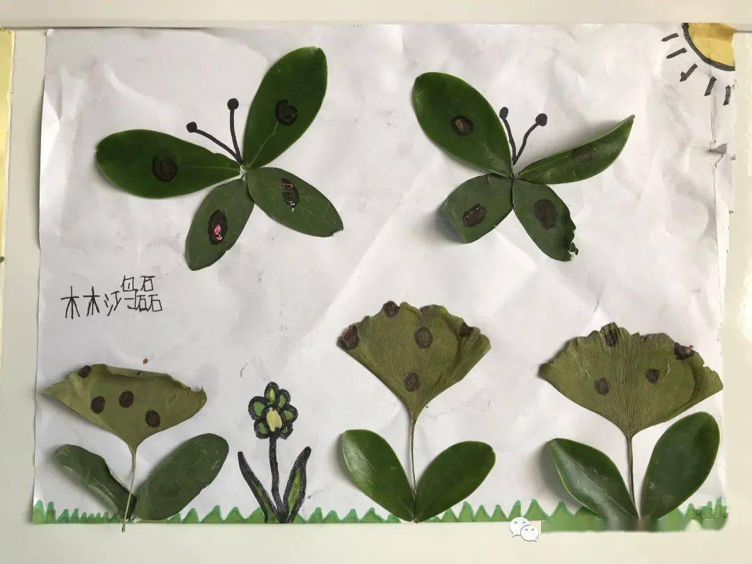 科学课堂真有趣小小树叶变形记