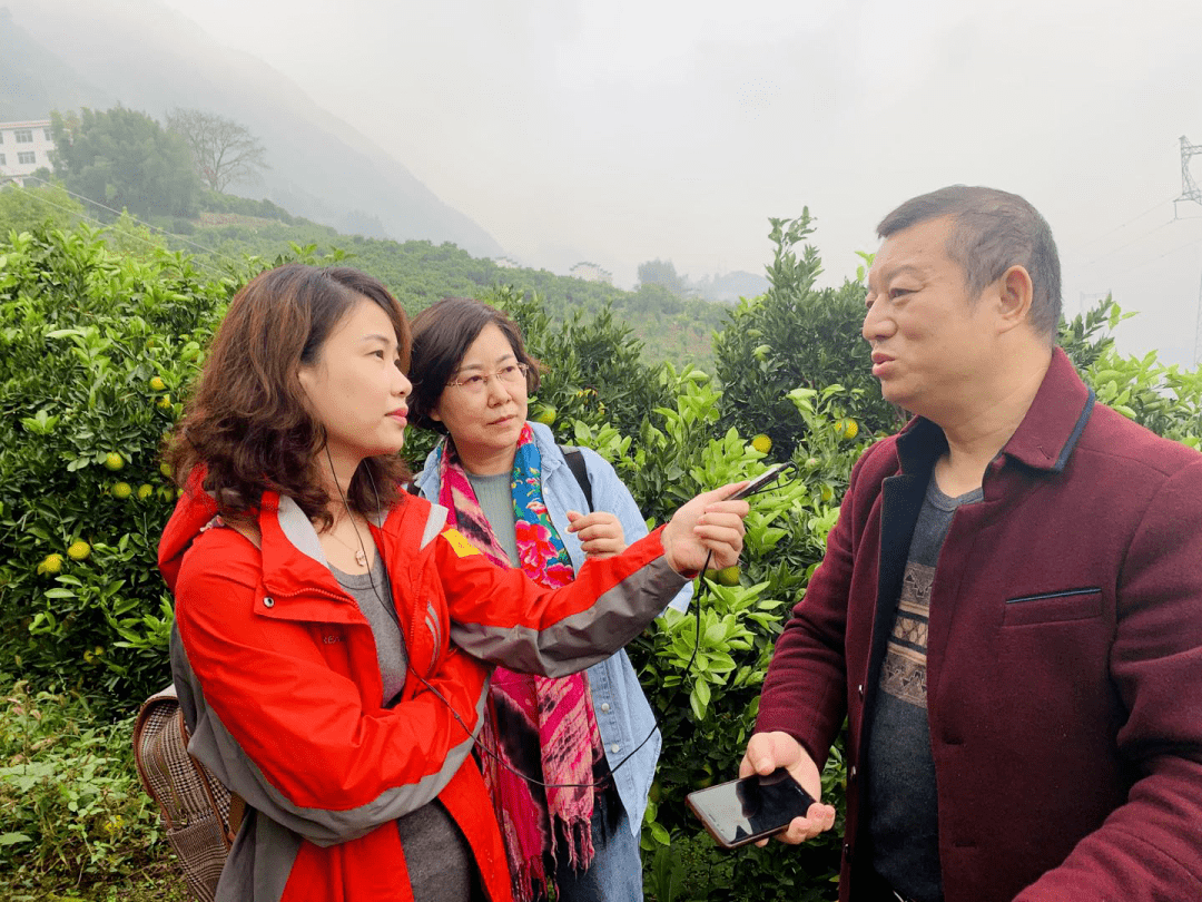 奔跑吧湖北丨小脐橙变身致富果(上)_刘国华