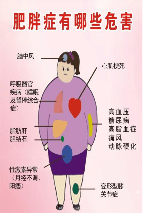 老年性肥胖成为影响老年人身体健康的主要因素和发病原因之一 ,与多种