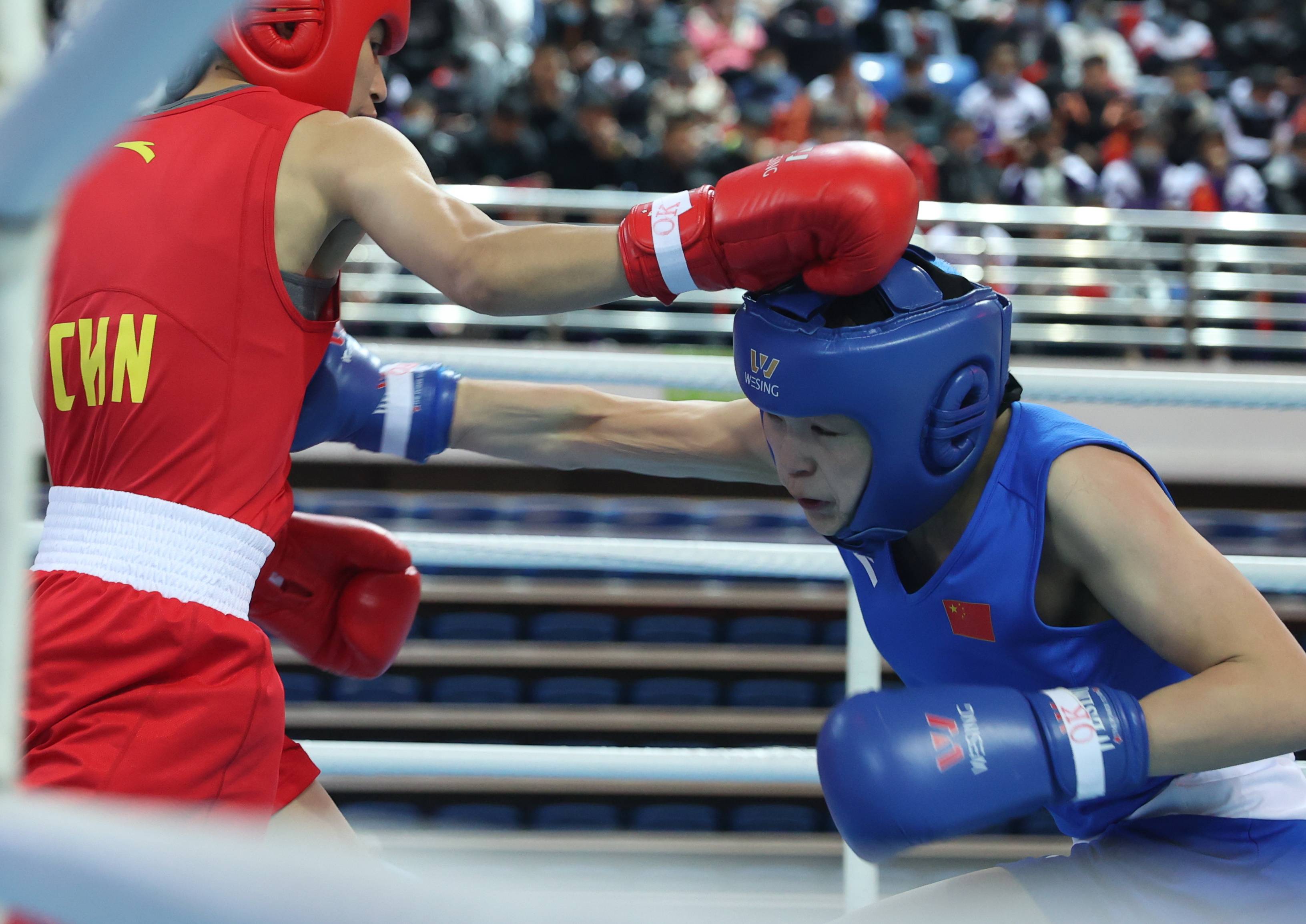 拳击全国女子锦标赛禹立赛夺得60公斤级冠军