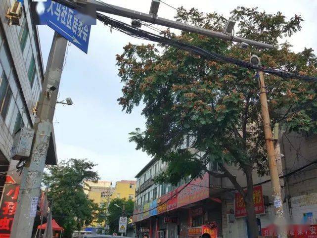 太原最横城中村:房租比小区还贵,"魅力"却让租客不愿离开_大马村