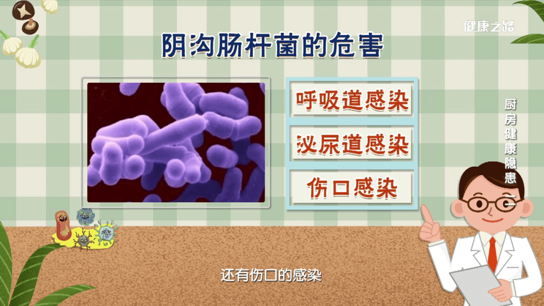 专家这样告诉您 阴沟肠杆菌的危害 阴沟肠杆菌广泛存在于