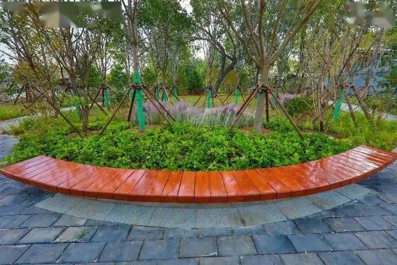 图:首都园林绿化北园利用现状3株高大泡桐设置林下广场,结合广场边界