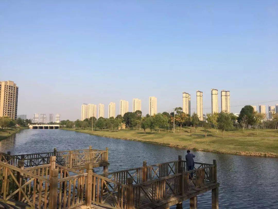 玉龙河湿地公园是丰城市首个省级湿地公园,集生态涵养,防洪滞洪,休闲